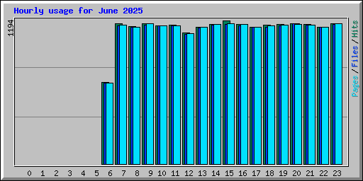 Hourly usage for June 2025