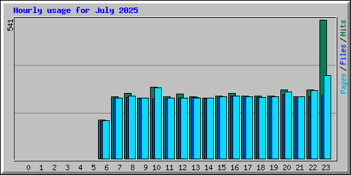 Hourly usage for July 2025