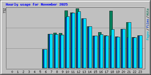 Hourly usage for November 2025