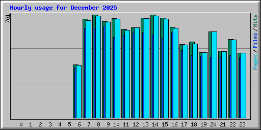 Hourly usage for December 2025