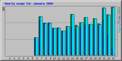 Hourly usage for January 2026